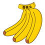 香蕉头手机版