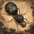 荒野蚂蚁模拟单机版